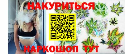 spice Гай