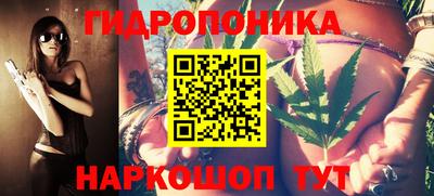 spice Гай