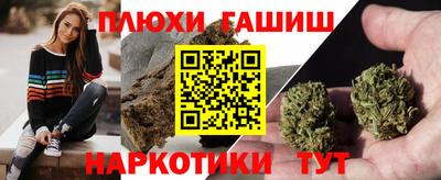 spice Гай