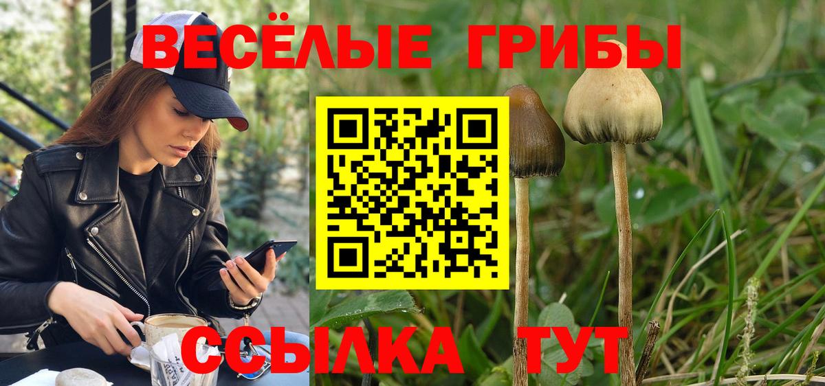 Галлюциногенные грибы мухоморы Магадан